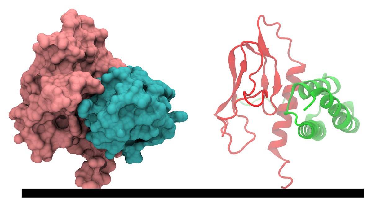 Molecular structure of a G-protein-coupled receptor — the shape a biased-agonist peptide stabilises decides which signalling pathway fires, Panacea Bio Chem, Bogdan Dicoias